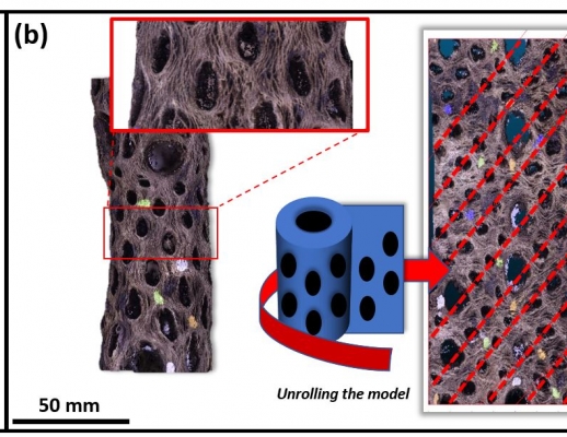 Biomimicry / Bioinspired Design – The Cultural Heritage Engineering ...